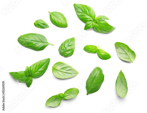 Basil leaves, isolated on white