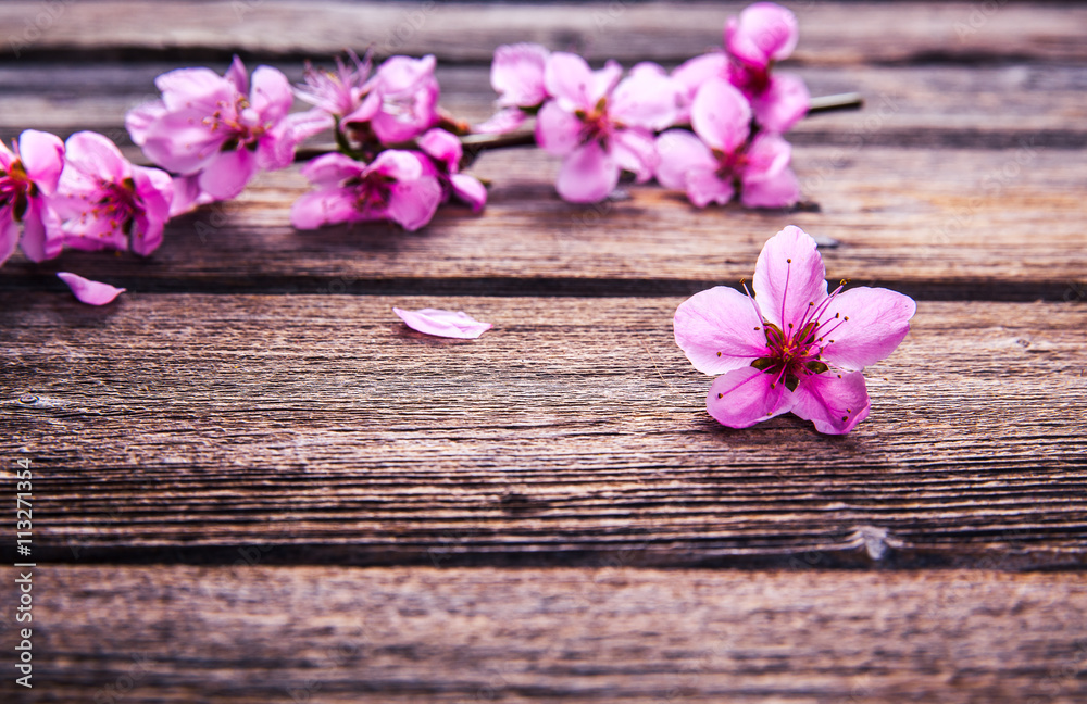 Peach blossom on old wooden background. Fruit flowers. Peach blossom on old wooden background. Fruit flowers.