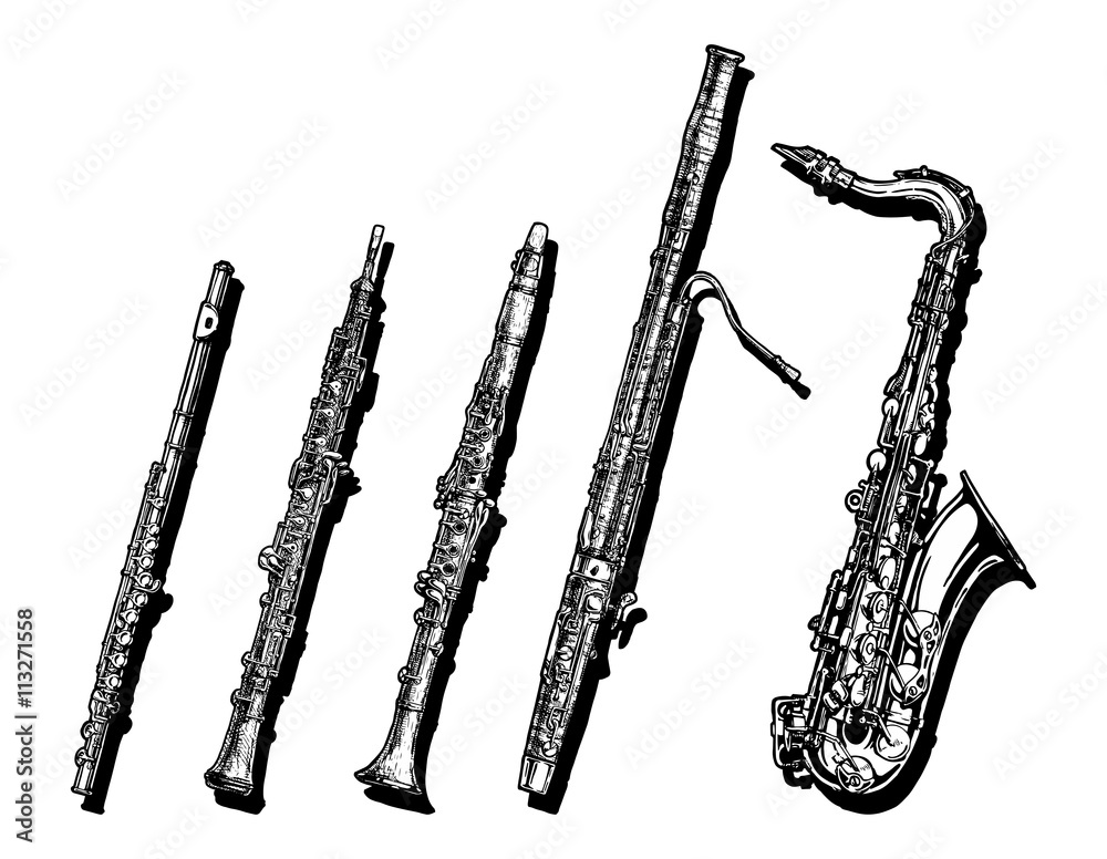 Obraz premium Woodwind musical instruments set