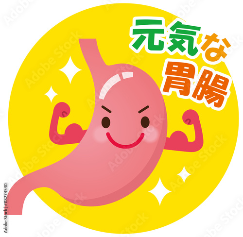 元気な胃腸 健康な胃 Stock イラスト Adobe Stock