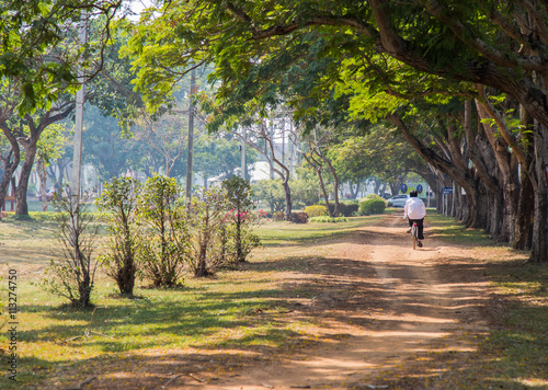 Summer park road