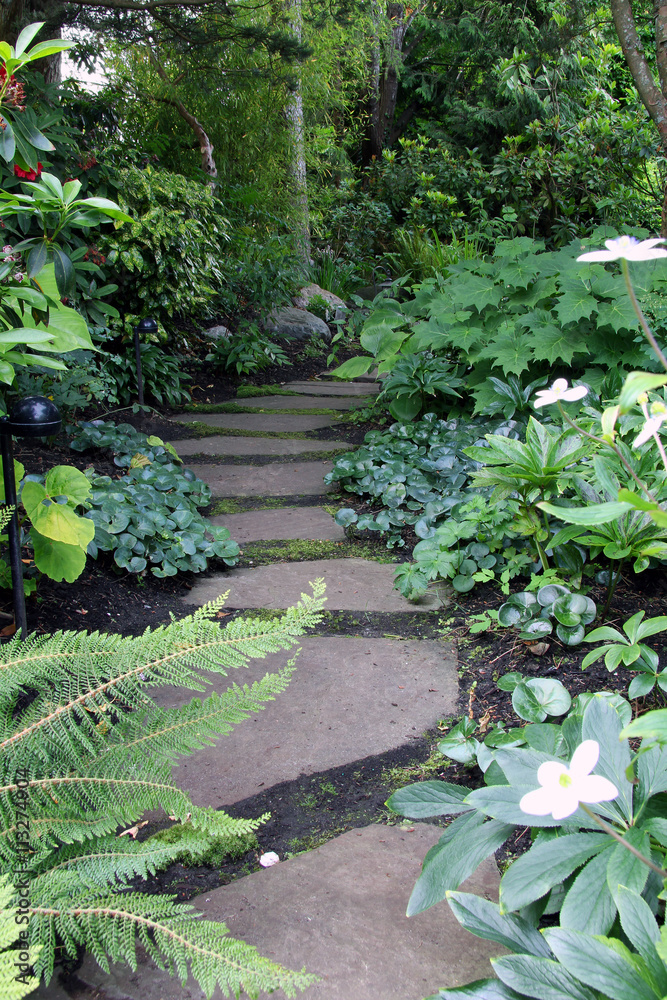 Shady garden path lined with perennials. Shady garden path lined with perennials.
