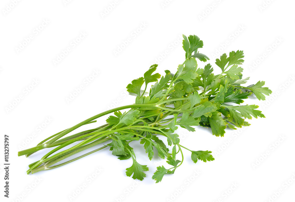 Celery isolated on white background Celery isolated on white background