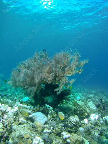 Underwater landmark and part of the main land. Amed village  Bali  Indonesia