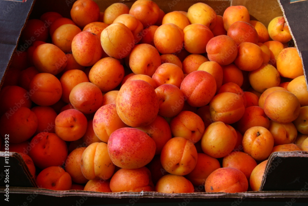 абрикосы,
