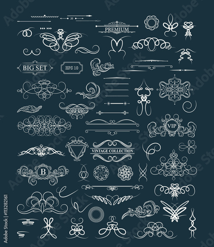 Calligraphic design elements and wicker lines in vector