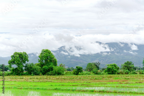 Agricultural landscape and mountains with fog after rain Rain mist floating on the mountain the nature of green season in Thailand