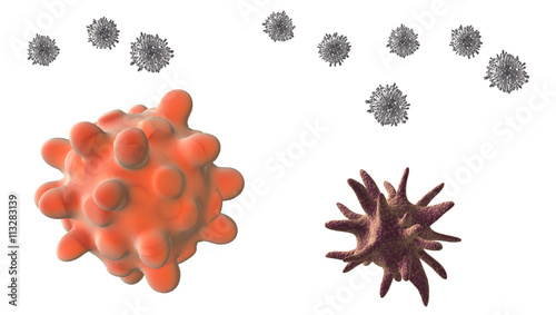 Apoptotic and Dendritic cells and Tcells 3D illustration photo