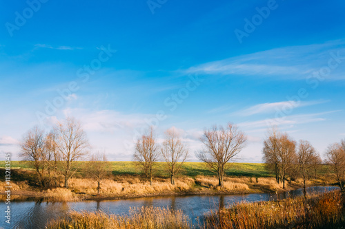 Trees With Fallen Leaves Near Lake. Autumn Landscape