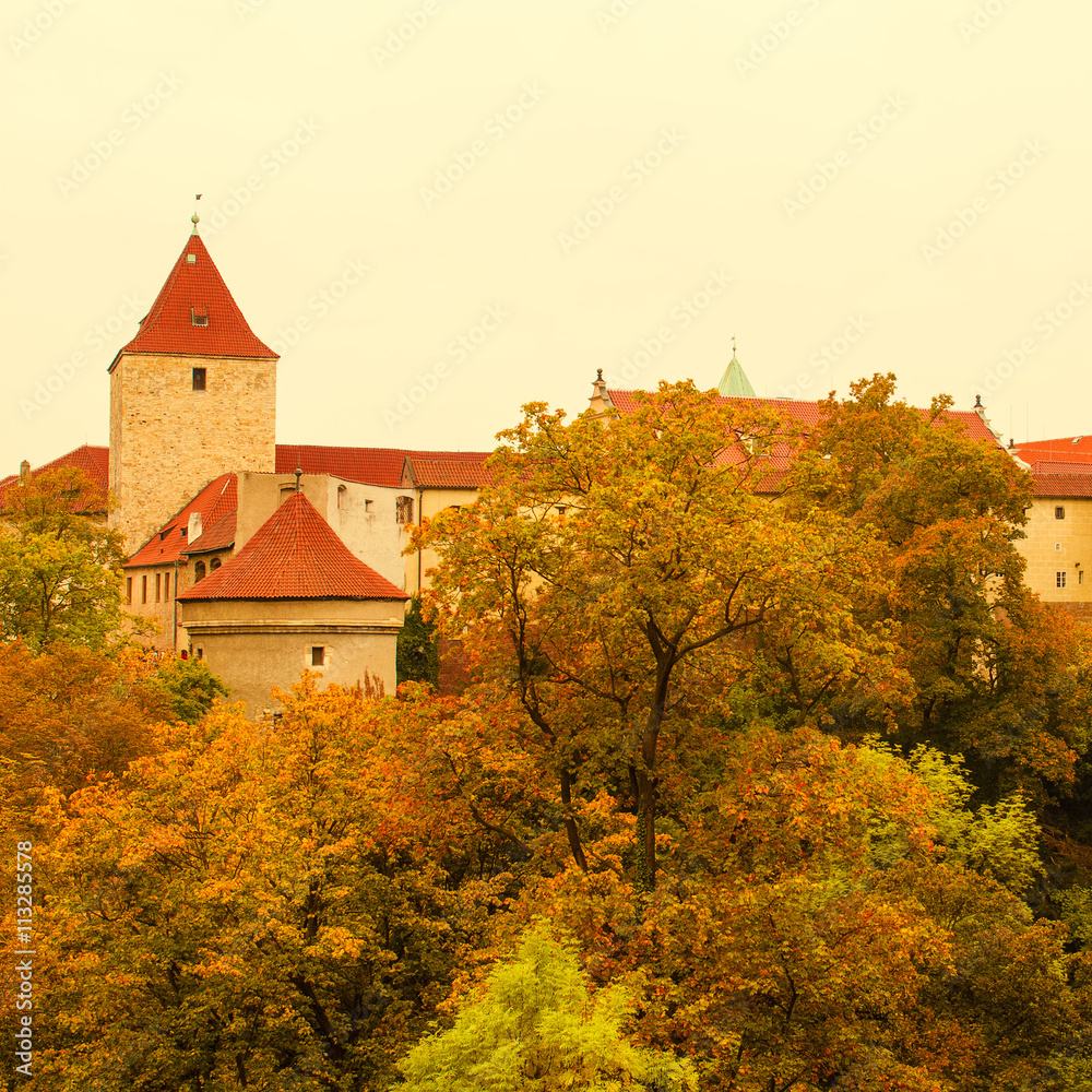 Prague Castle, old city with autumn trees , european travel seasonal fall background in vintage style Prague Castle, old city with autumn trees , european travel seasonal fall background in vintage style