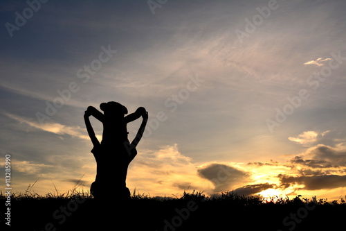 Silhouette a girl  with teddy bear on mountain and sky sunset © sawitreelyaon