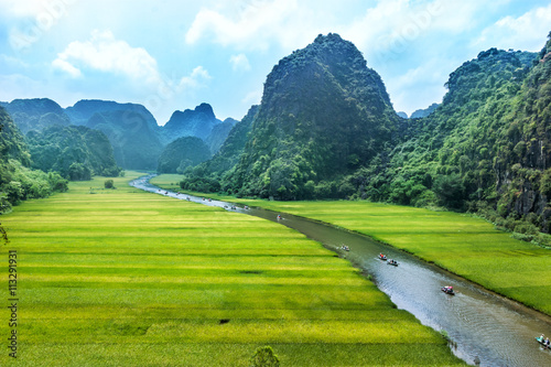 Rice field and river, NinhBinh, vietnam landscapes