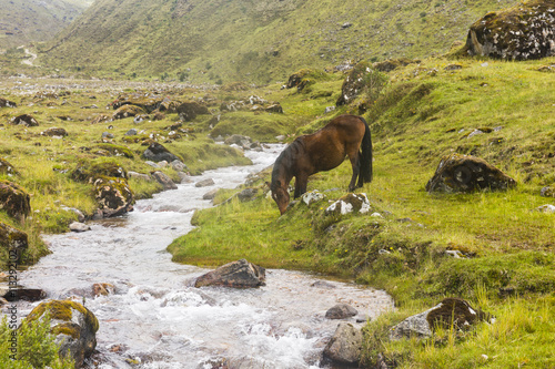 Salkantay trail