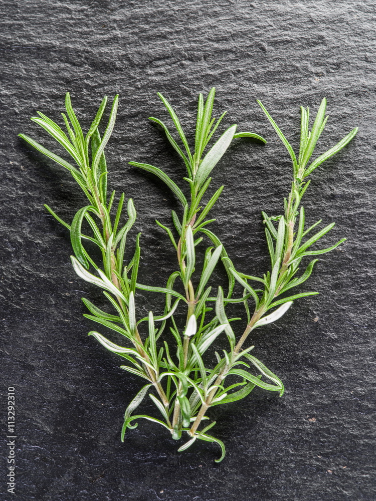 Fresh rosemary leaves on the black background. Fresh rosemary leaves on the black background.