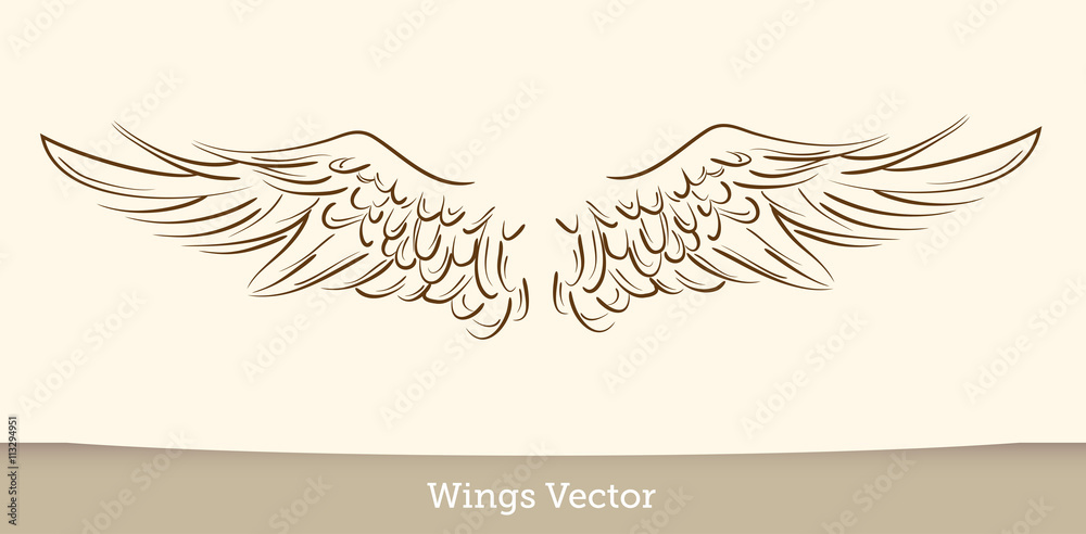 Sketch illustration of wings on white background. vector 