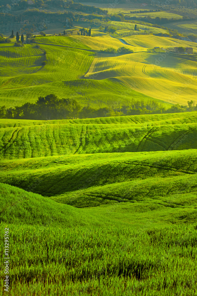 View of green fields at sunset in Tuscany