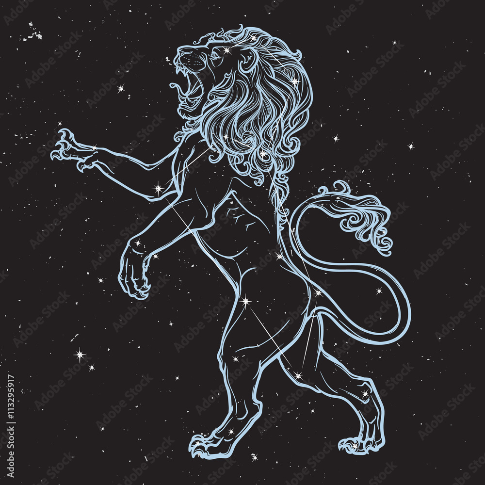 Obraz premium Sketch drawing of rearing lion isolated on nightsky background.