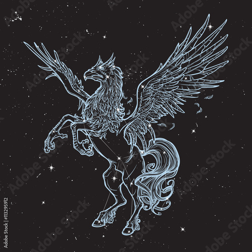 Hippogriff or Hippogryph supernatural beast. Sketch on a nightsky background