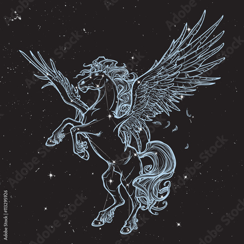 Pegasus supernatural beast. Sketch isolated on white background