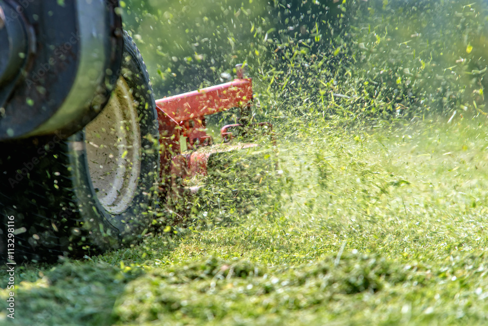 lawnmover at work in a meadow - obrazy, fototapety, plakaty 