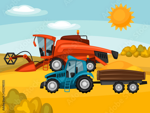 Combine harvester and tractor on wheat field. Agricultural illustration farm rural landscape