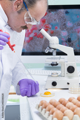 Lebensmittelkontrolle im Labor Hygiene Ei Salmonellen photo