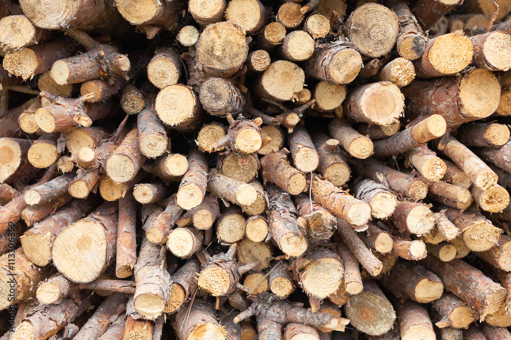 Natural firewood stack background Natural firewood stack background