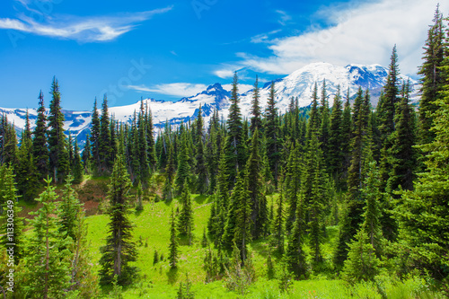 Summer Hike at Mount Rainier National park with view of Mt.Rainier.