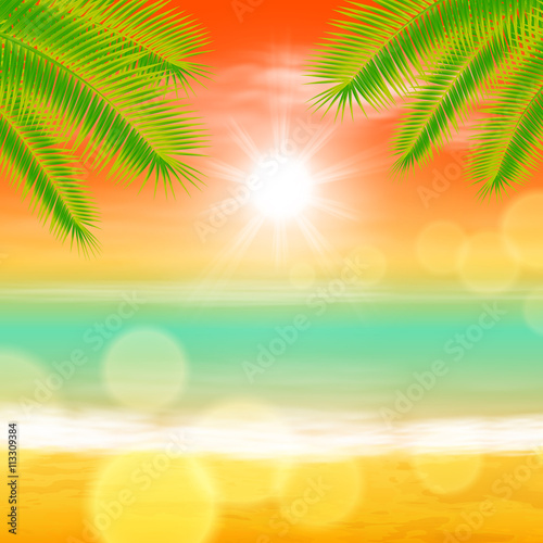 Sea sunset with palmtree leaves and light on lens