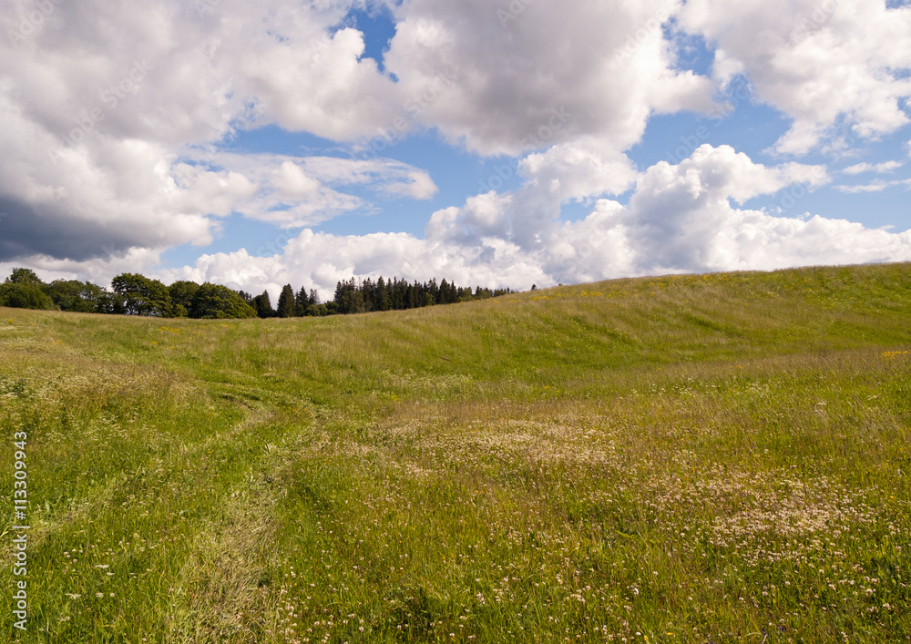 Summer nature landscape in countryside, Raplamaa, Estonia.