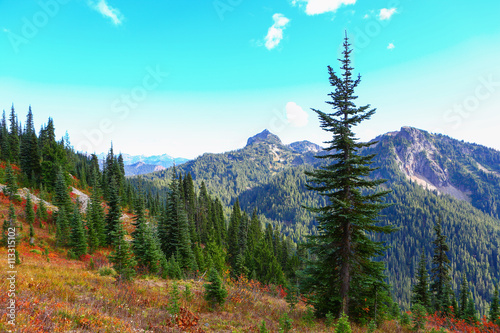 Mount Rainier, Washington