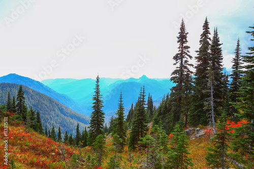 Mount Rainier, Washington