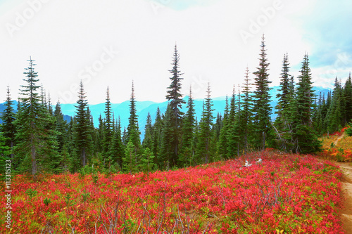 Mount Rainier, Washington