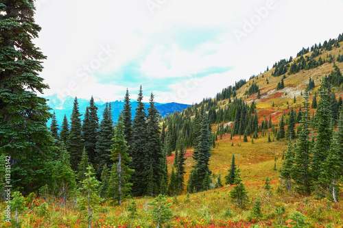 Mount Rainier, Washington