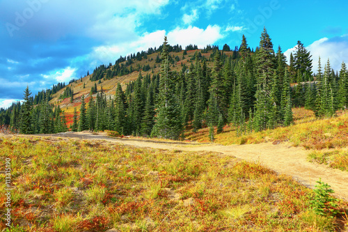 Mount Rainier, Washington