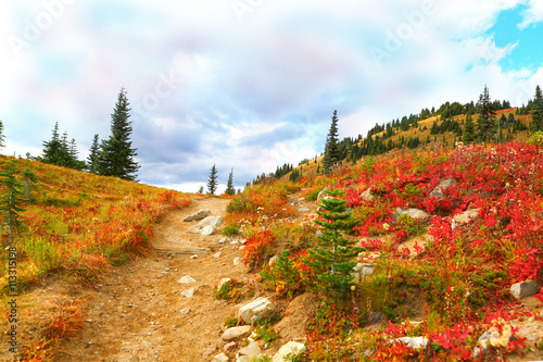 Mount Rainier, Washington