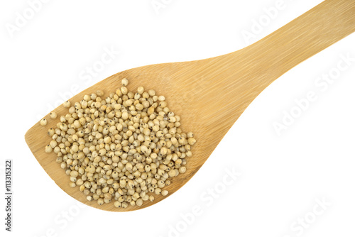 Whole grain sorghum seeds on a wood spoon atop a white background.