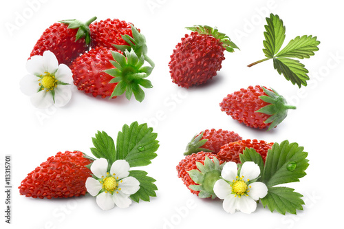 Set of Alpine strawberries (Fragaria vesca), clipping paths