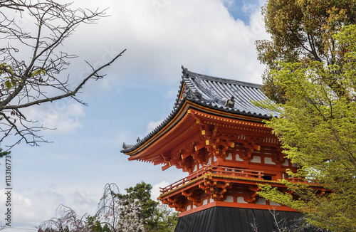 drum house with sakura blossom at Ninna-ji temple, Kyoto, Japan