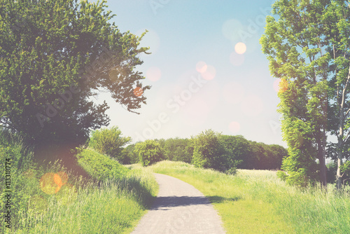 Nature trail in a summer landscape