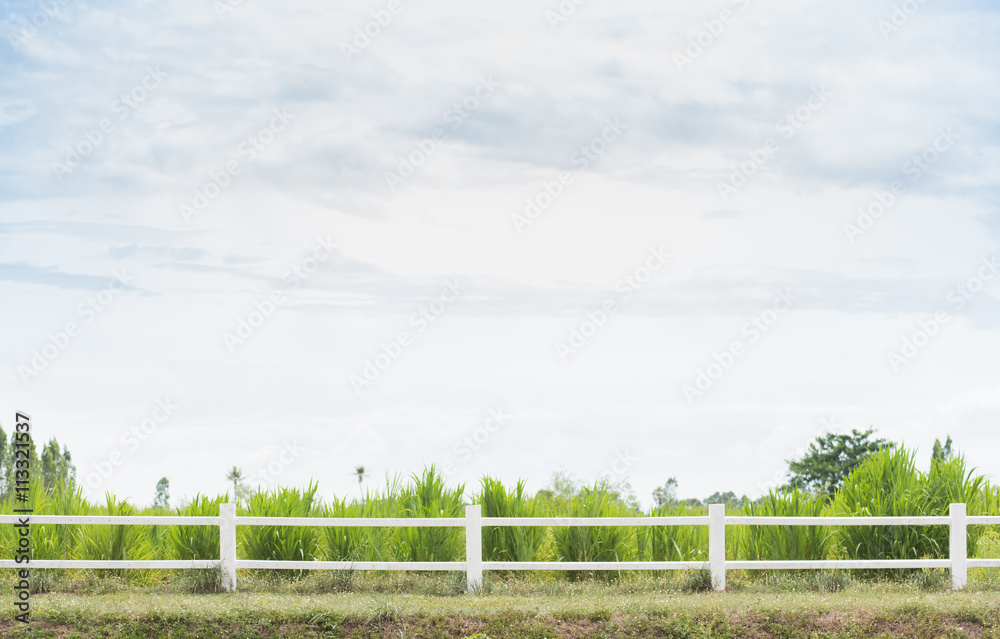 white fence with grass background