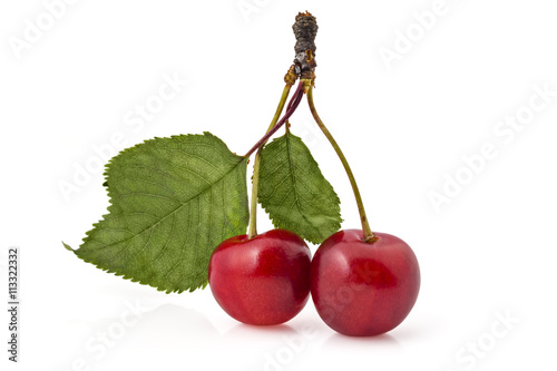 Billede på lærred Fresh ripe organic cherries, branch with leaves, isolated on a white background