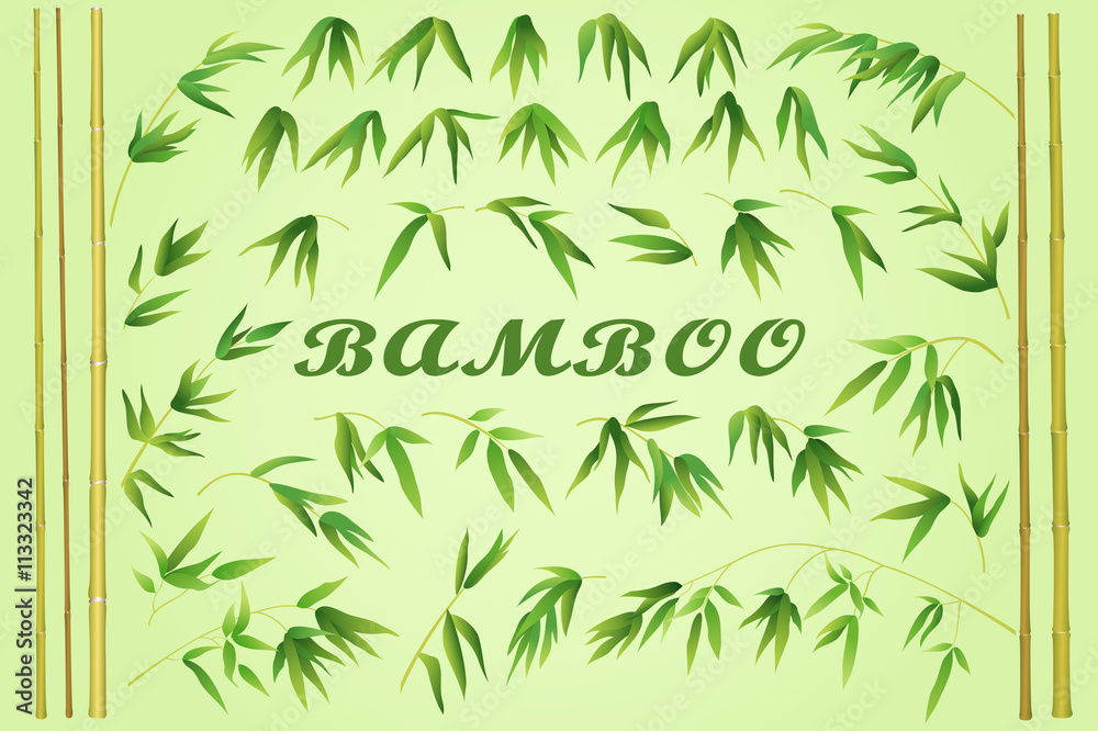 Bamboo Stems with Green Leaves on a Yellow Background. Vector