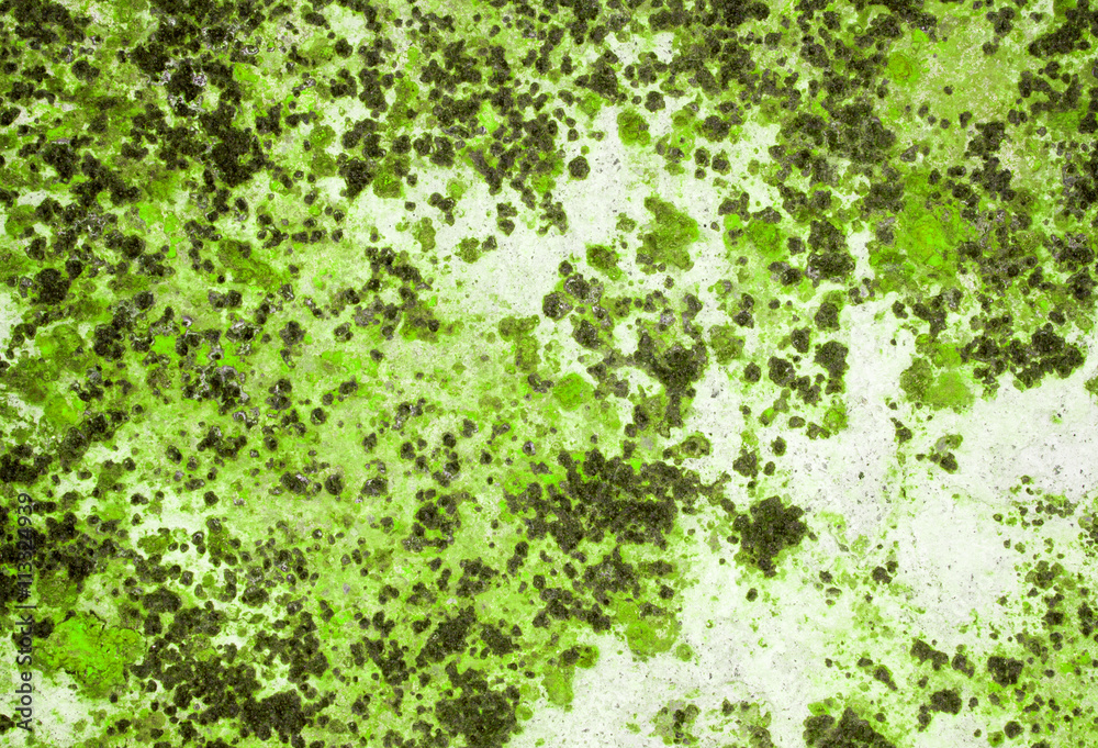 Designed grunge paper texture. Designed grunge paper texture.