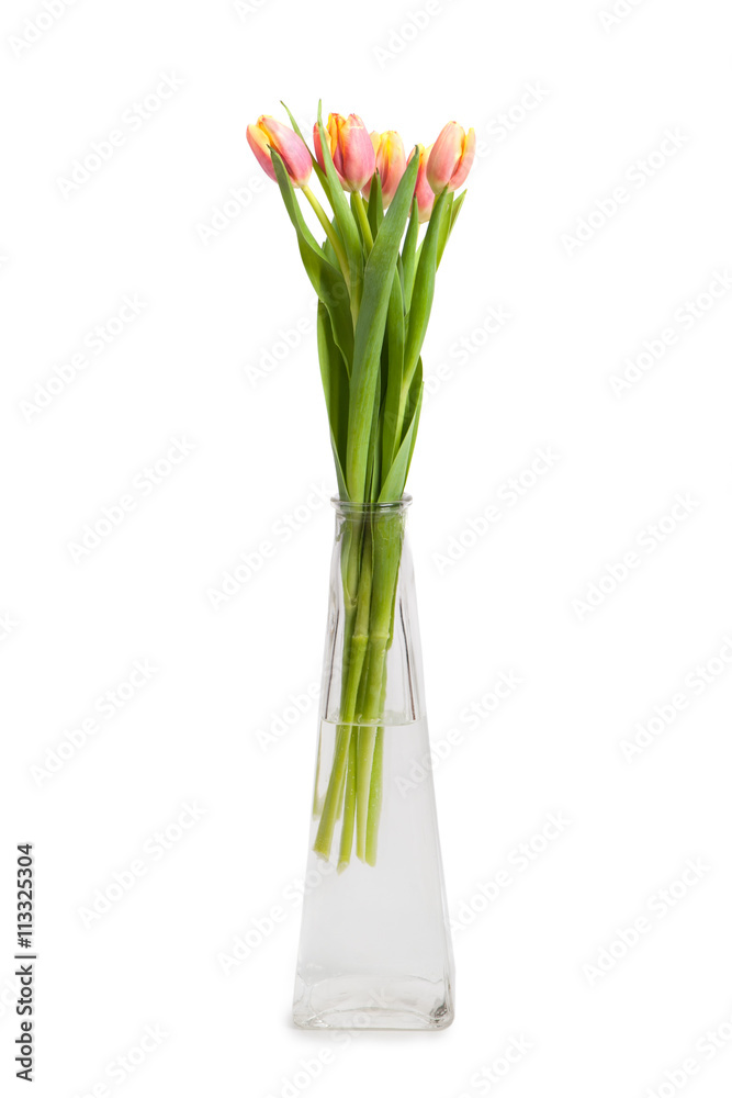 Fototapeta premium Tulips in vase