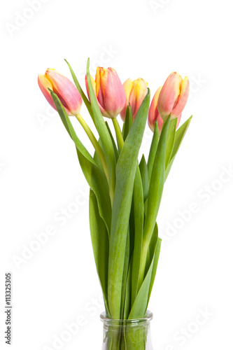 Tulips in vase