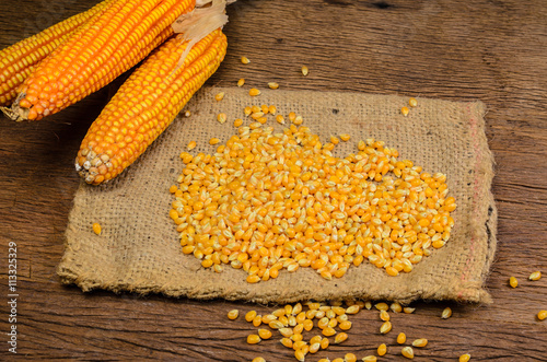 Dried corn in sackbag on wooden table photo