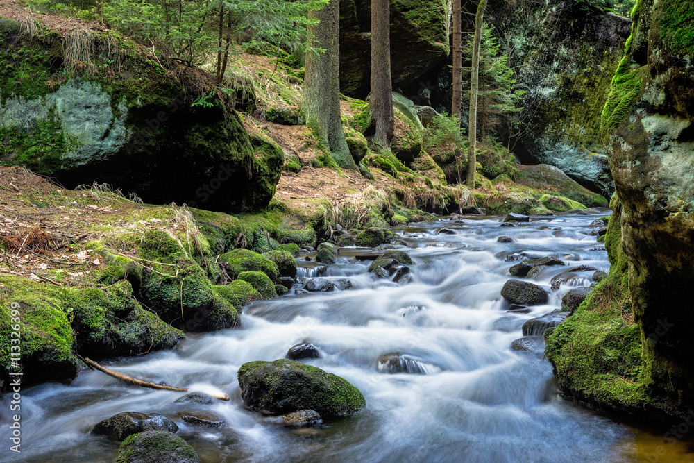 Obraz premium National park Bohemian Switzerland