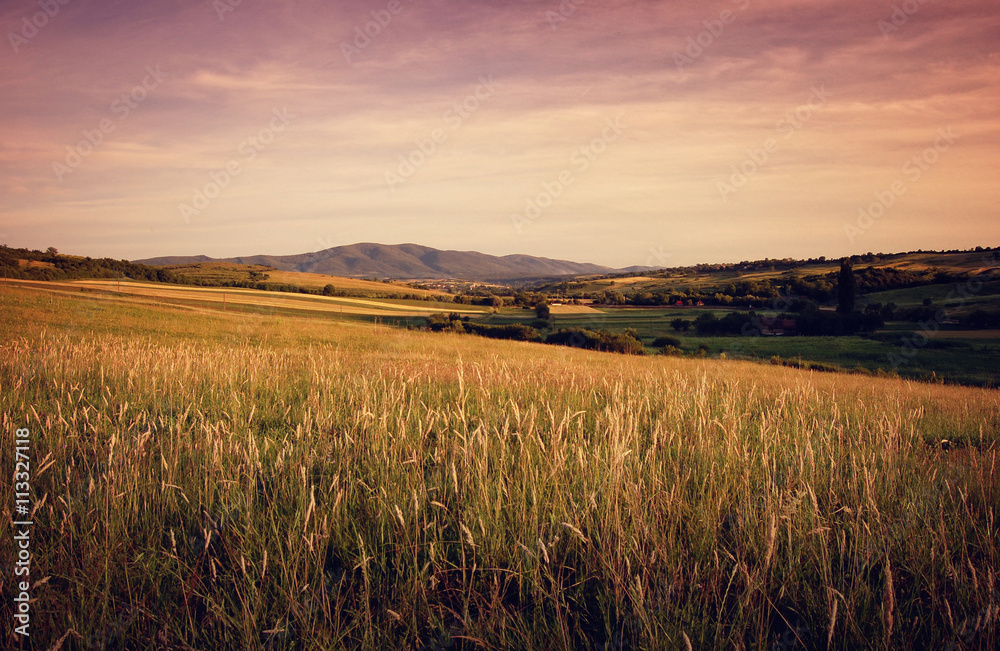  rural landscape with grass at sunset