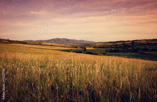 rural landscape with grass ...